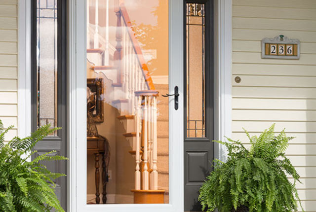 Storm Door