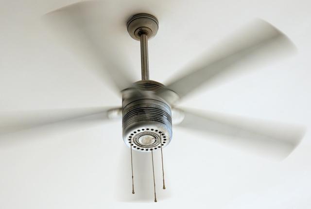 Ceiling fan