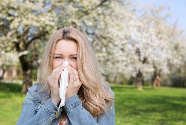 allergies