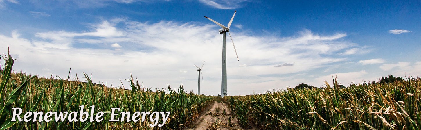 renewable-energy-corn.jpg